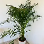 A 20m De La Playa Apartamento