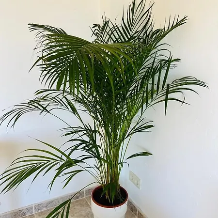 A 20m De La Playa Apartamento